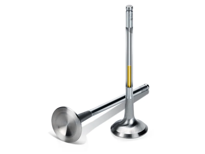 2026_06_17_790833