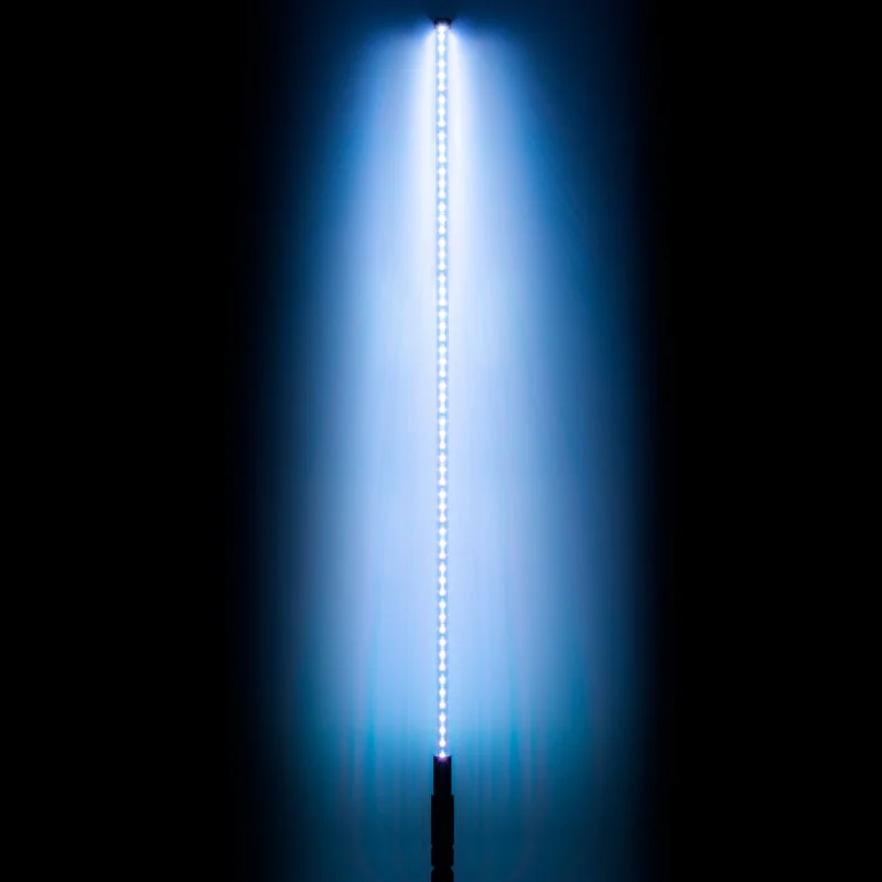 2026_06_21_1431695